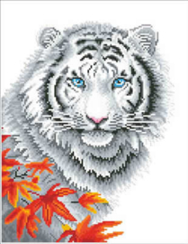 White Tiger in Autumn / Witte Tijger