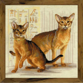 Borduurpakket Abyssinian cats - RIOLIS    ri-1671