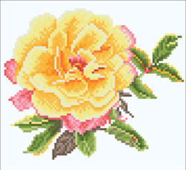 Simply Dotz Watercolour Rose - Needleart World   nw-sd02-402