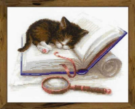 Borduurpakket Kitten on the Book - RIOLIS    ri-1725