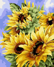Schilderen op nummer Golden Sunflowers - Collection d'Art  cda-pbn-b136