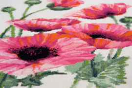 BORDUURPAKKET PINK POPPIES - RIOLIS  ri-1775