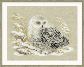 Borduurpakket White Owl - RIOLIS    ri-1241