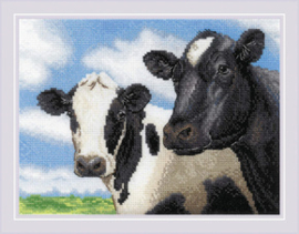 Borduurpakket Cows - RIOLIS     ri-2237