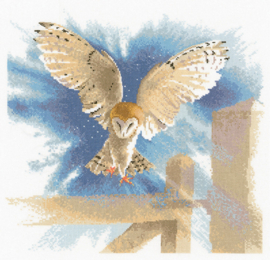 Borduurpakket Owl in Flight - Heritage Crafts     hc-0483a