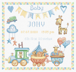 Borduurpakket Baby Boy Record - Leti Stitch    leti-0936