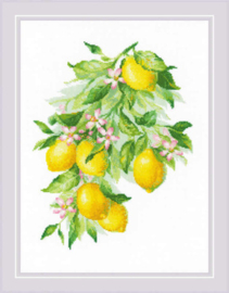 Borduurpakket Bright Lemons - RIOLIS    ri-2054