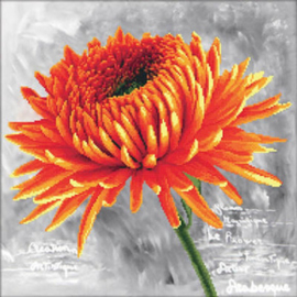 Voorbedrukt borduurpakket Orange Dahlia - Needleart World    nw-nc450-017