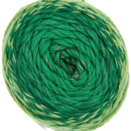 Ricorumi Spin Spin DK - 50g - 115m - groen - 013