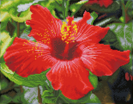 Diamond Dotz Hibiscus in Bloom - Needleart World   nw-dq08-018