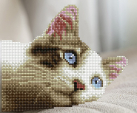 Simply Dotz Daydream Kitty - Needleart World   nw-sd02-405