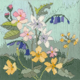 Platsteek pakket Long Stitch Seasons - Spring - Derwentwater Designs     bt-dwlss01