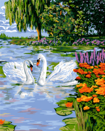 Schilderen op nummer White Swans - Collection d'Art  cda-pbn-a111