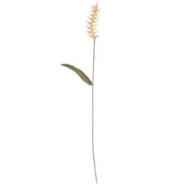 Creative Ricorumi - dk 25g - 57,5m - 383227.078 - Khaki