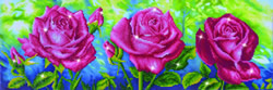 Diamond Dotz Les Roses du Jardin - Needleart World    nw-dd09-014
