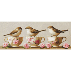 - vogels  
