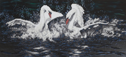 Diamond Painting White Swans - Freyja Crystal    fc-alvr-022-012