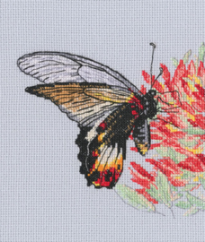 Borduurpakket Nectar for Butterfly - RTO    rto-m00755