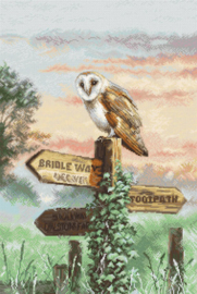 Borduurpakket Barn Owl - Leti Stitch    leti-l8031