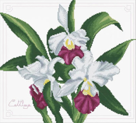 Voorbedrukt borduurpakket Bouquet of Orchids - Needleart World    nw-nc340-009