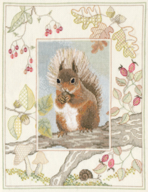 Borduurpakket Wildlife - Red Squirrel - Bothy Threads     bt-dwwil04