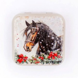 Winter Horse Metallic Box - Leti Stitch     leti-25635