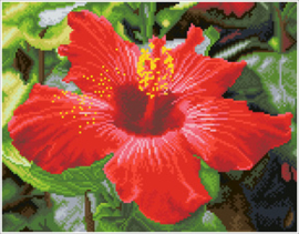 Diamond Dotz Hibiscus in Bloom - Needleart World   nw-dq08-018