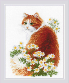 Borduurpakket Ginger Meow - RIOLIS   ri-2110