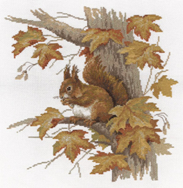 Borduurpakket Squirrel - PANNA    pan-1472-j