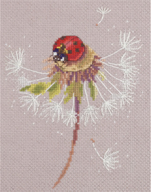 Borduurpakket Split Seconds of Summer - Ladybird - PANNA    pan-7034-ps