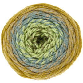 Ricorumi Spin Spin DK - 50g - 115m - olijf groen - 012