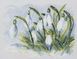 Borduurpakket Early Snowdrops - RTO    rto-m00585