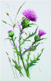 Borduurpakket Thistle - PANNA    pan-1893-c
