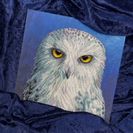 Borduurpakket Rachel Froud - Wisdom - Bothy Threads    bt-xrf12