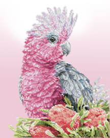 Diamond Dotz Pink Galah & Banksias - Needleart World   nw-dd10-058