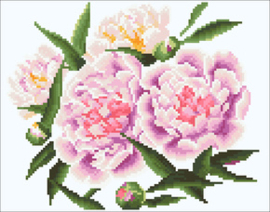 Simply Dotz Romantic Pink Peonies - Needleart World    nw-sd05-402