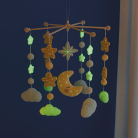Ricorumi Glow in the Dark - boekje