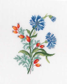 Borduurpakket Cornflowers - RTO    rto-c261