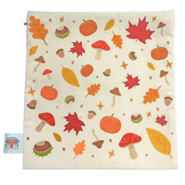 Project Bag Bothy Designs - Comfort Crafter - Bothy Threads         bt-pb06