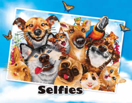 Love You / Selfies