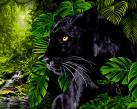 Schilderen op nummer Black Panther - Collection d'Art  cda-pbn-h155