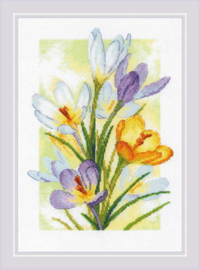 Borduurpakket Spring Glow - Crocuses - RIOLIS     ri-2190