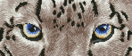 Diamond Dotz Snow Leopard Spy - Needleart World    nw-dd05-043