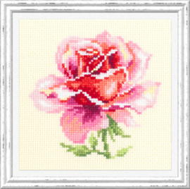 Borduurpakket (m) Pink Rose - Chudo Igla    ci-150-002