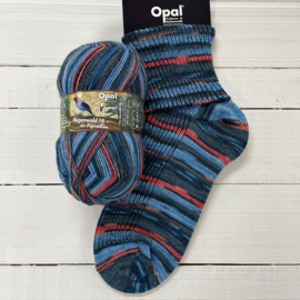 Opal Rainforest Regenwald 18 /  Blauw Rood 11200