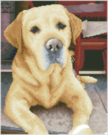 Diamond Squares KING - Needleart World   nw-dq10-027