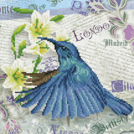 Diamond Dotz Hummingbird Travels - Needleart World    nw-dd05-053