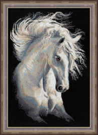 Borduurpakket Andalusian Character - RIOLIS    ri-1451