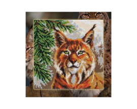 Kussen borduurpakket Lynx - Collection d'Art   cda-5438