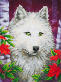 White Wolf / Witte Wolf